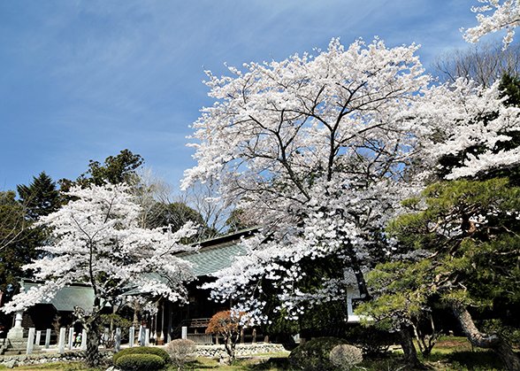 🏯 시만토시 향토 박물관(시만토시 쿄도 하쿠부츠칸) 이미지 5